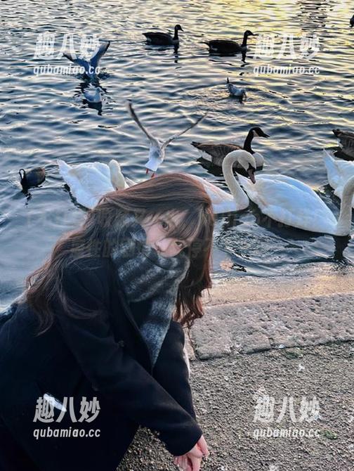 收藏又一出，heiliao不打烊！魔性的剧情让我停不下来啊～