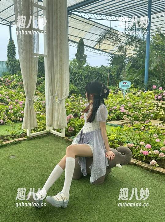 想知道为啥吃瓜网的瓜能永久免费？快来听八卦！