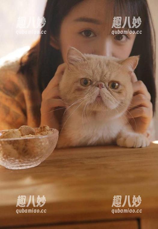 黑料传送门app：解锁你的八卦超能力，一刷就能见真相！